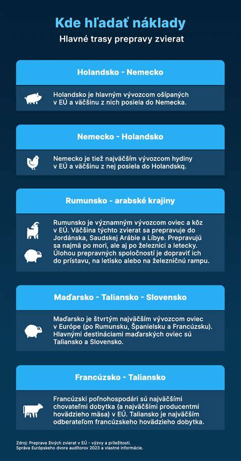 Infografika: Kroky záchrany zvierat - od nahlásenia po vyslobodenie