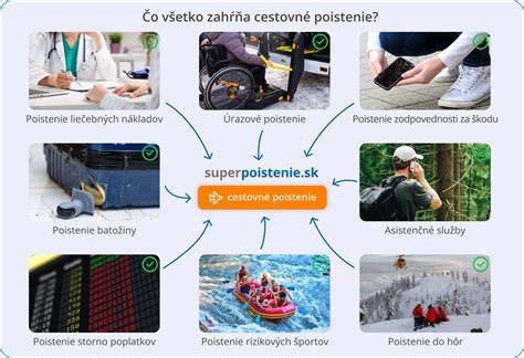 Infografika: Ako tričko podporuje útulky a čo všetko zahŕňa pomoc