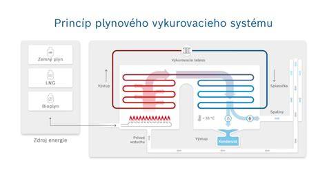 Grafické znázornenie princípu fungovania elektronických obojkov