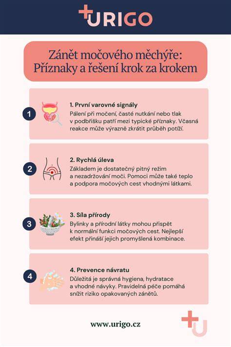 Infografika: Cesty a orgány močového systému psa