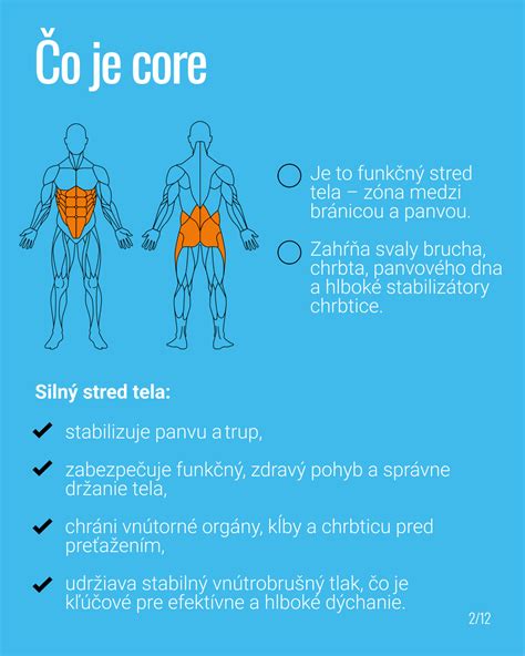 Infografika: Ako cvičiť privolanie bígla a udržať jeho pozornosť