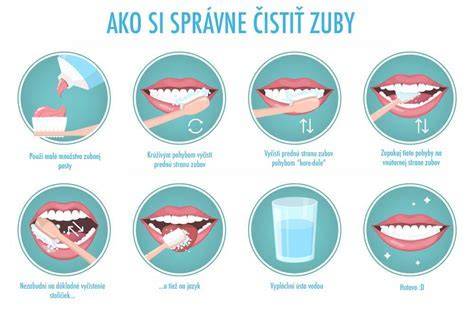 Schéma správnej starostlivosti o bíglov: uši, srsť, zuby a pohyb