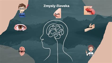 Infografika porovnávajúca zmysly psa a človeka