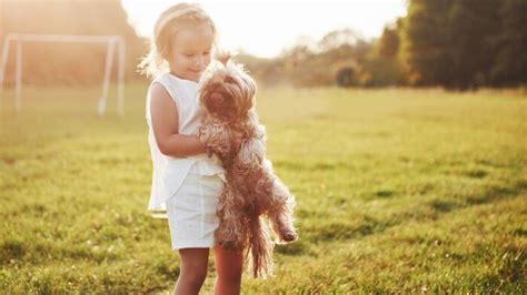 Ilustrácia interakcie psa a dieťaťa pod dohľadom