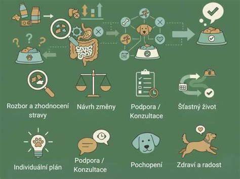 Grafika: plán postupného odobrúšania odstupu psa od majiteľa