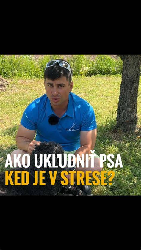 Infografika: FRAP - čo to znamená pre psa a ako mu pomôcť