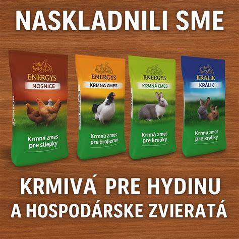 Infografika: Struktúra typického denného režimu krmiva pre maďarskú vizslu