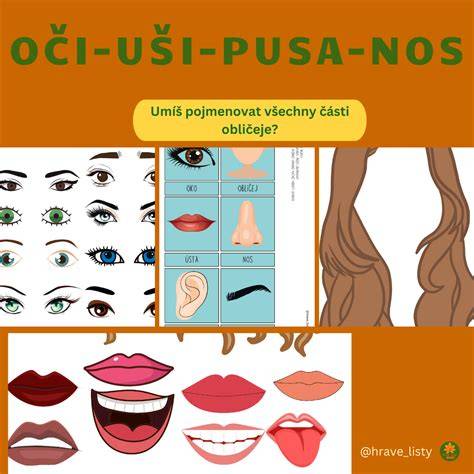 Infografika: Všeobecný vzhľad bostonského teriéra (hlava, oči, uši, trup)