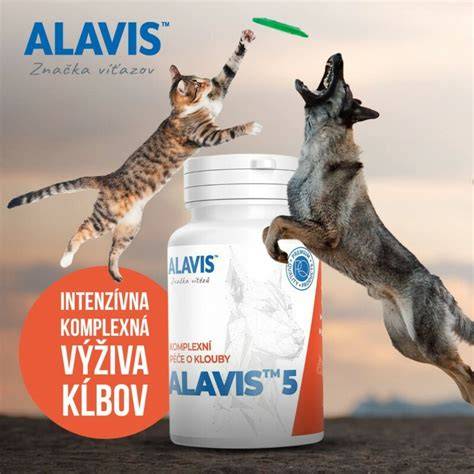 Infografika: Typy mäsa a ich výživové zložky pre psy