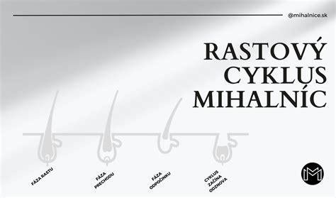 graf-rastovy-cyklus-chlpu
