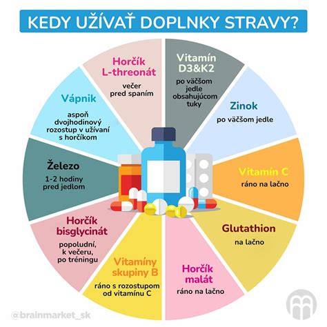 Infografika: Strava a doplnky pre veľké plemeno s pohybovým zameraním