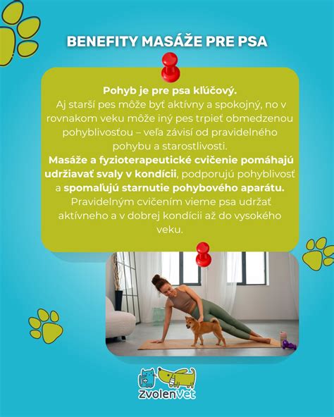 Infografika: Vzorové rozloženie stredného psa podľa veľkosti, potreby pohybu a starostlivosti