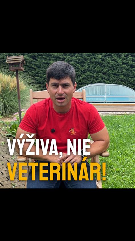 mikročip na ruke veterinára a psík
