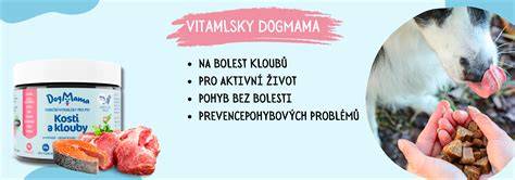 Infografika: Vestibulárny systém a hlavné príčiny potácania u psa