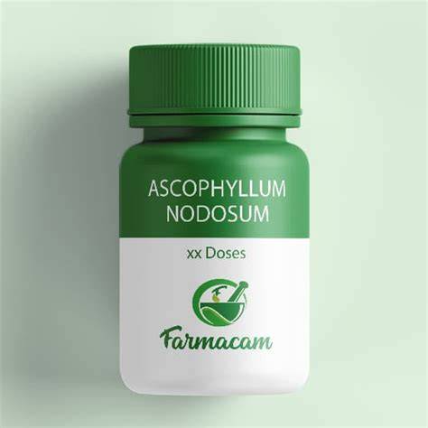 Prírodný zdroj Ascophyllum nodosum a jeho účinky na ústnu hygienu psov