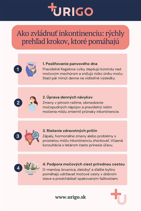infografika: Základné kroky pri zvládaní hyperaktivity psa
