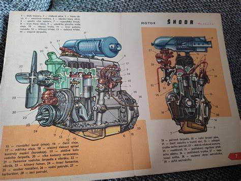 Diagram histórie šľachtenia ČSV a hlavných výročí