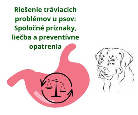 Infografika: Tráviaci systém psa a signály problémov