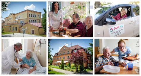 Grafionické znázornenie porovnania povahy a starostlivosti Samojeda a Nemeckého špica