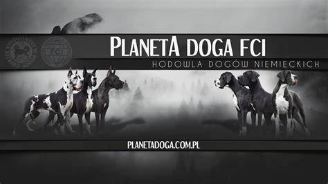 infografika_fci_klasifikacia_doga