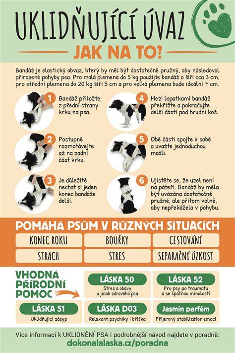 Infografika: Dôvody olizovania psa - láska, chuť, rešpekt, informácie