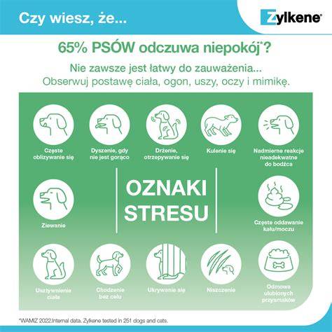 Infografika: Pravidlá a signály pre kŕmenie psa bez stresu