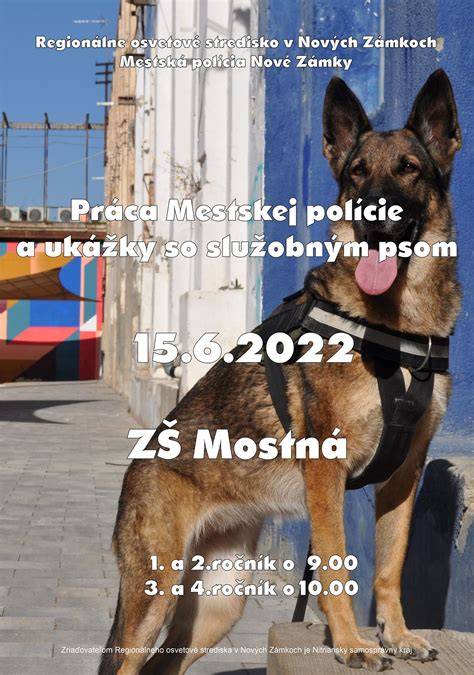 Ilustračné foto zobrazujúce psovoda so služobným psom a názorné zariadenie