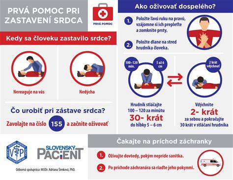 Infografika: Prvá pomoc pri uhryznutí psa a iných zvierat