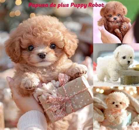 plyšový robotický pes vrtí chvostom