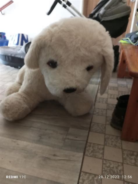 dieťa hladká plyšového psa