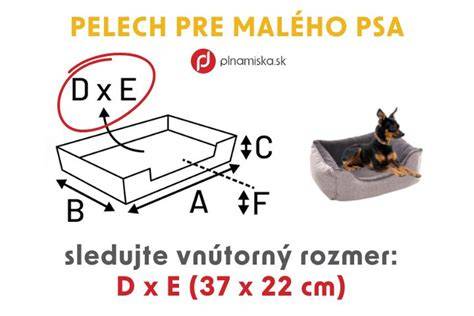 Infografika: Ideálny výbeh pre psa - rozmery a bezpečnosť