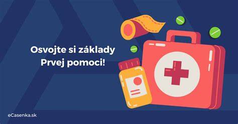 Infografika: Ako vyzerajú základné situácie prvej pomoci pri poraneniach psa