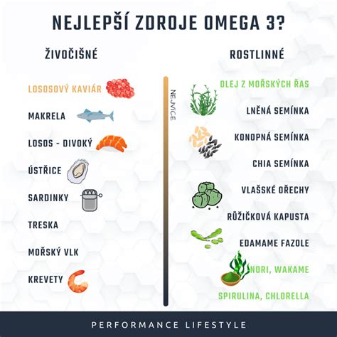 Infografika: Omega-3 zdroje pre psy a ich výhody