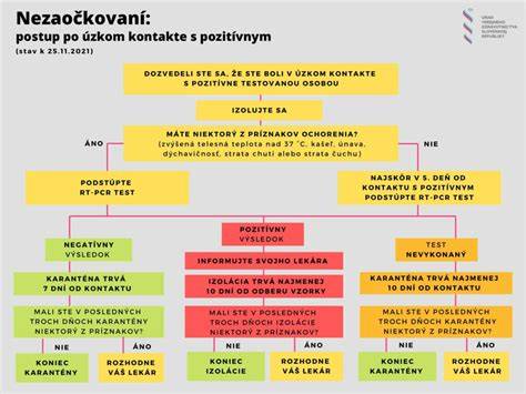 Infografika: postup pri hľadaní a opätovnom navrátení psa majiteľovi