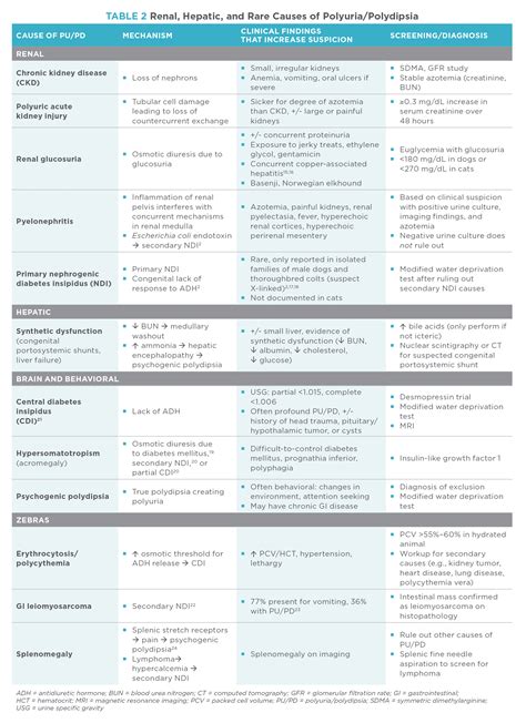Infografika: Pu/Pd - polydipsia a polyúria u zvierat