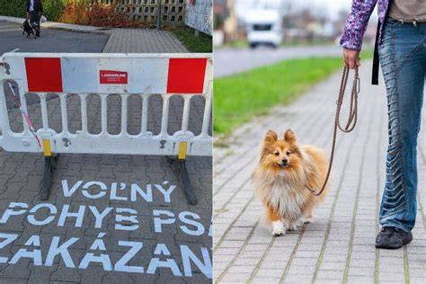 Mapa vyznačených lokalít pre voľný pohyb psov v niektorých mestách