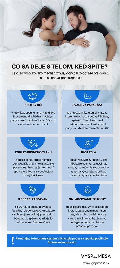 Infografika: Fázy socializácie šteniatka a kľúčové obdobia