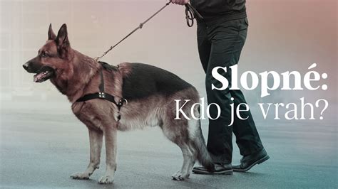 Infografika: Ako služobný pes sleduje pachové stopy a čo znamená vyhľadávanie v teréne