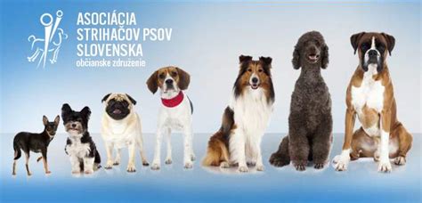 Ilustrácia rôznych chorôb psov