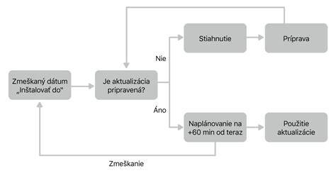 Diagram priebehu diagnostiky šelestu a rozhodovania o kardiologickom vyšetrení