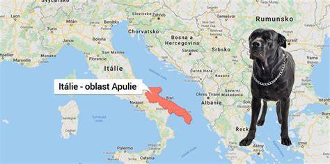 Mapa pôvodu Cane Corso: Taliansko