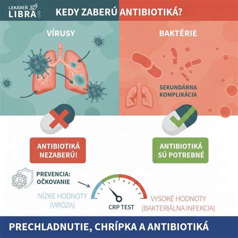 Infografika: Ako fungujú antibiotiká a čo je rezistencia