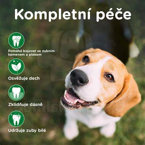 znaky náklonnosti psov vizuálna sada