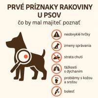 vizuálne znaky lásky psov