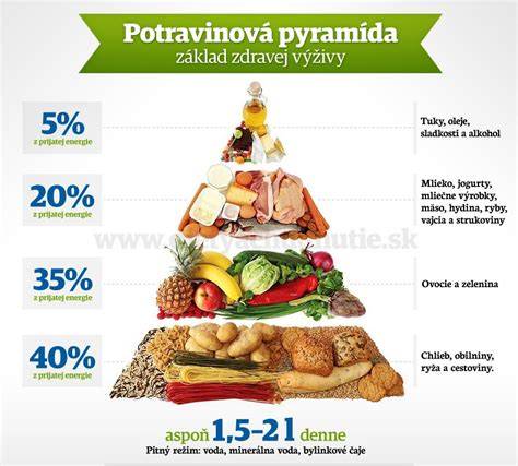 Schéma výživovej pyramídy pre šteňatá podľa veku a hmotnosti
