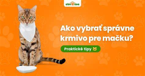 Infografika: Ako správne vybrať a používať plienky pre psov a štenatá