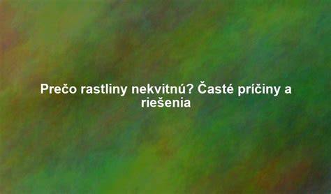 Infografika: Časté príčiny nočného nepokoja psov a ich riešenia