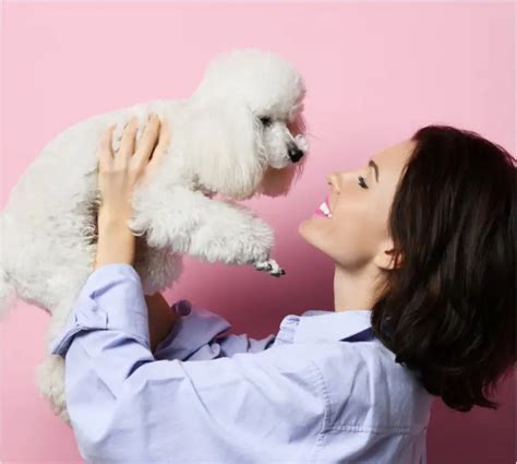 Šteniatko sa hrá s iným šteniatkom