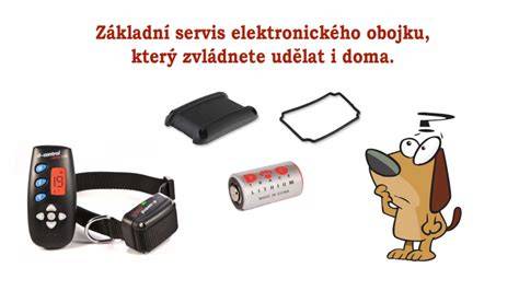 Infografika: Princíp fungovania elektronického obojku