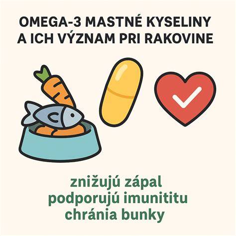 Ilustrácia psov a ich starostlivosti